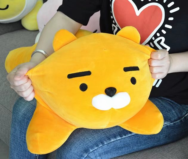 Coussin Oreiller Kakao Friends