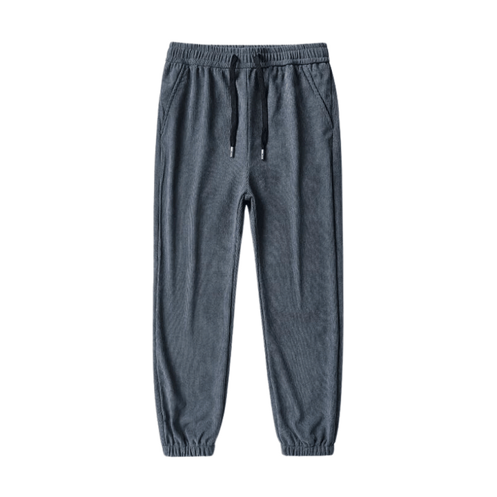 Pantalon Gris Velours Homme