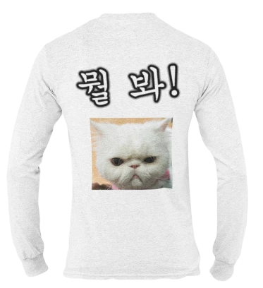 T Shirt Ecriture Coréenne Chat | France Corée du Sud