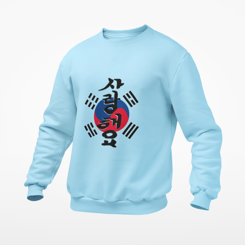 Pull Bleu Coréen Brodé Je t'Aime en Hangeul