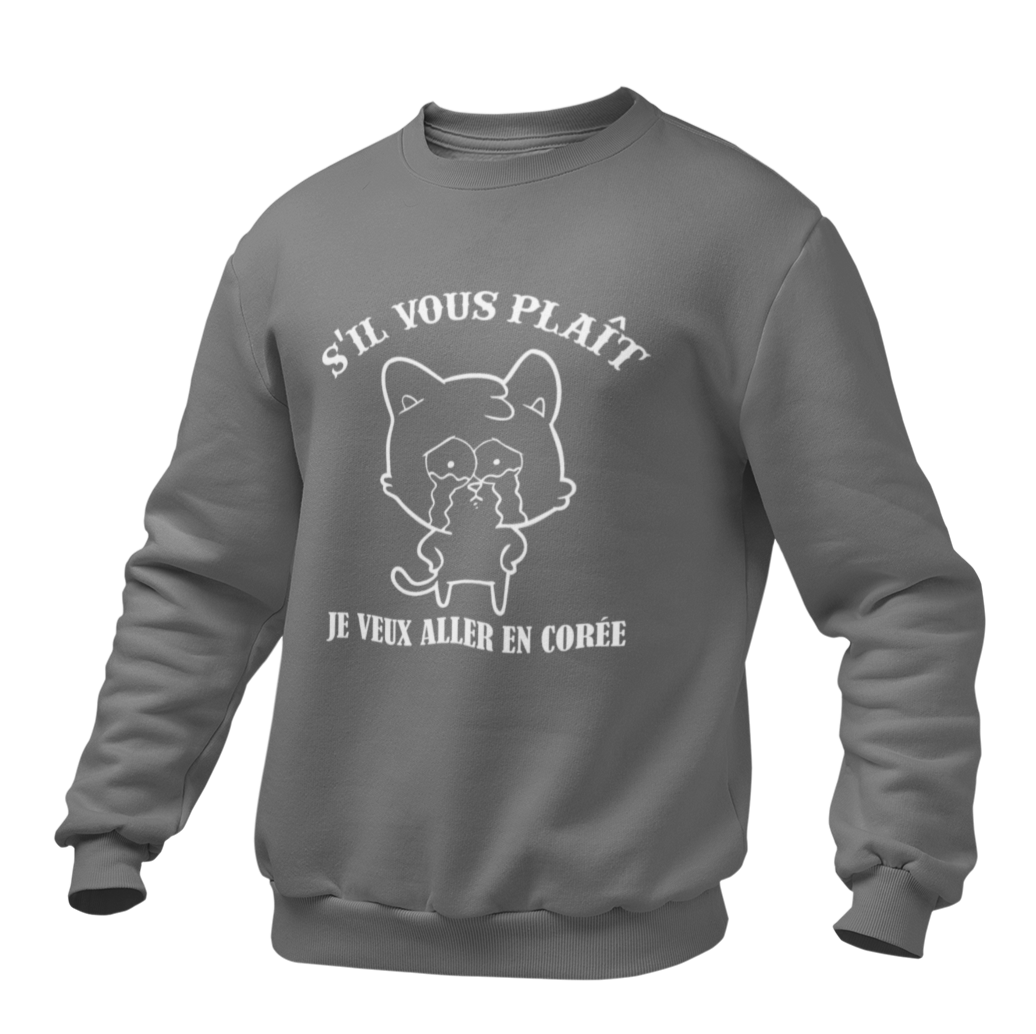 Pull Gris Chat