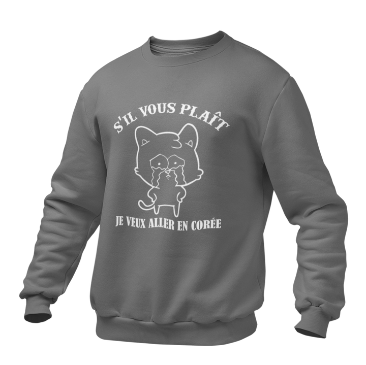 Pull Gris Chat