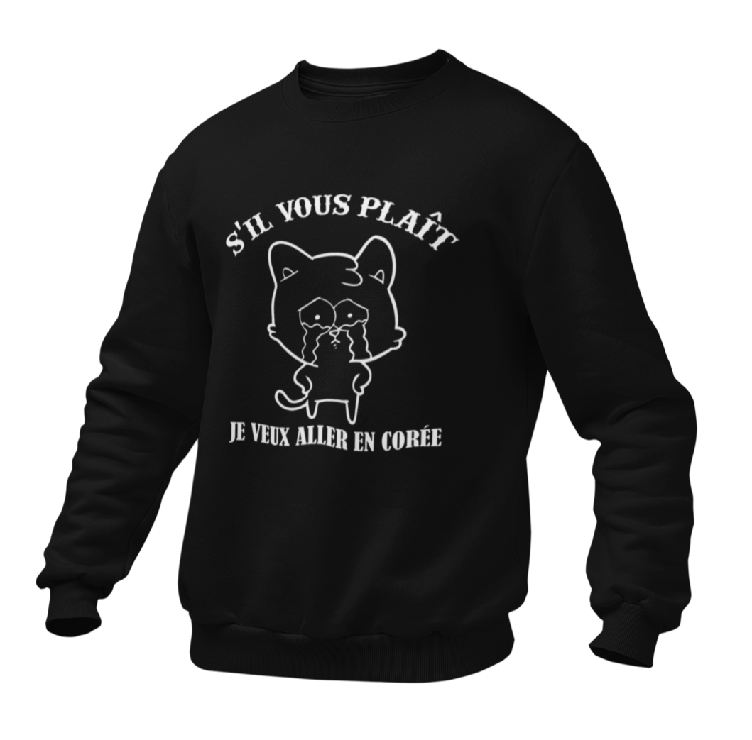 Pull Noir Chat