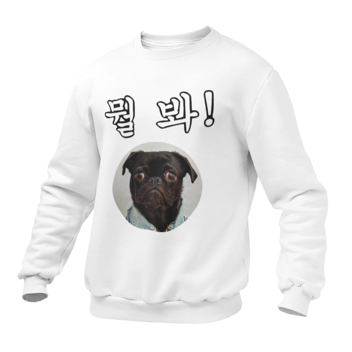 Pull Blanc Chien