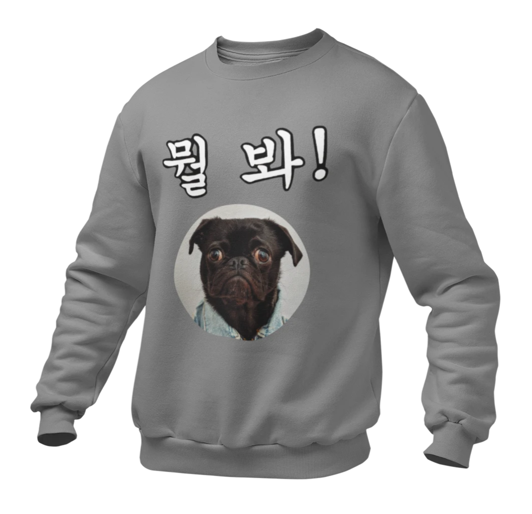 Pull Gris Chien