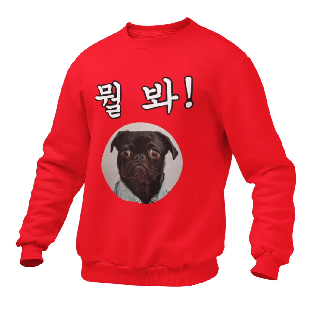 Pull Rouge Chien