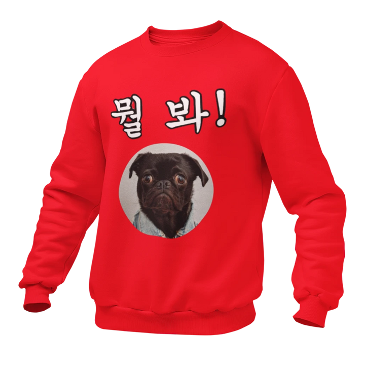 Pull Rouge Chien